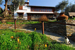 Apanemia Rooms - Pelion