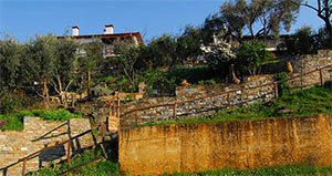 Apanemia Rooms - Pelion