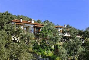 Apanemia Rooms - Afissos Pelion