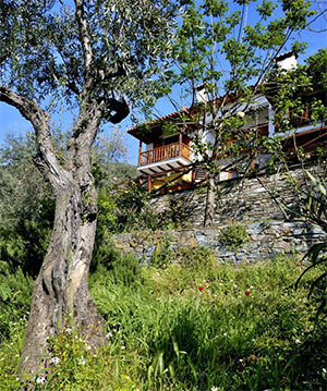 Apanemia Rooms - Afissos Pelion